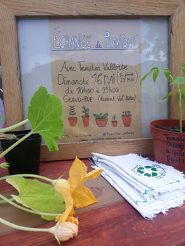 Echange de plantons le 23.05.2021